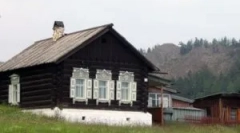 Ako sa zbaviť blchy v súkromnom dome navždy?